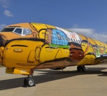 The Brazilian National Team airplane for the World Cup